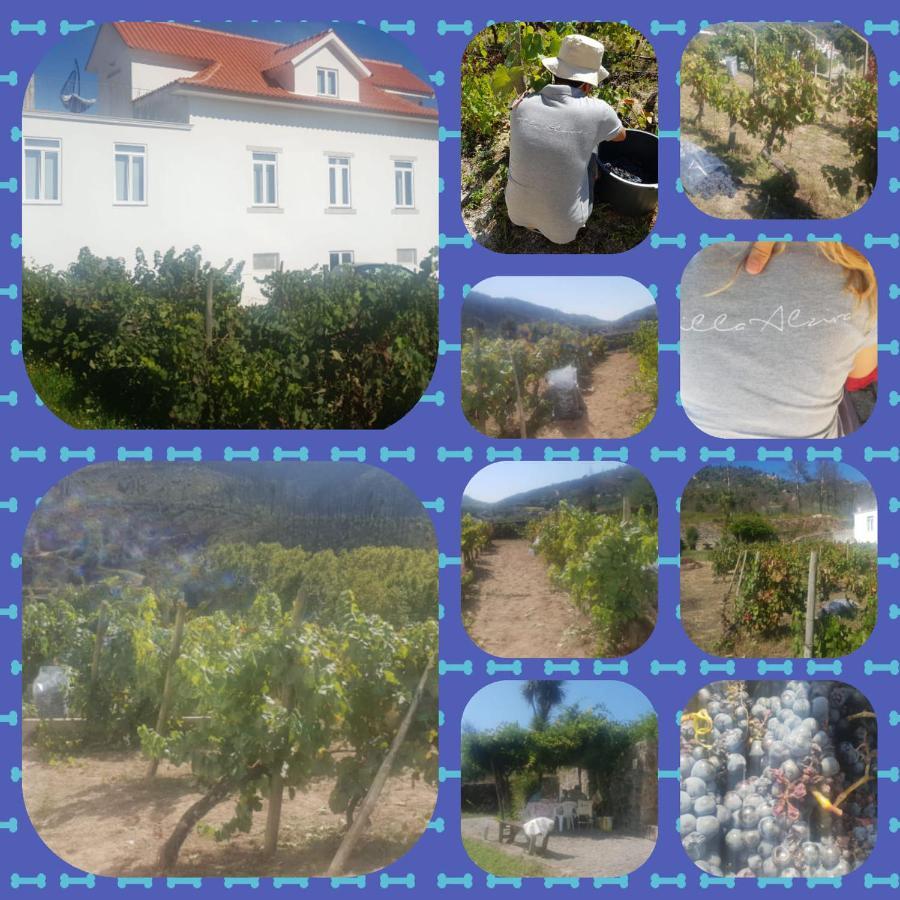 Villa Alzira 塞亚 外观 照片